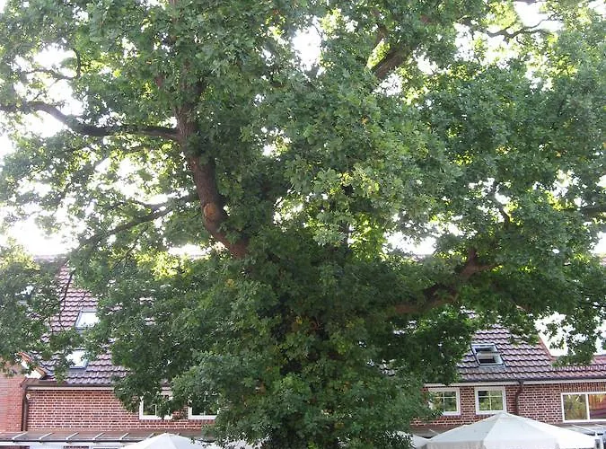 公寓式酒店 兰德史迪威公寓式酒店 Dorfhagen